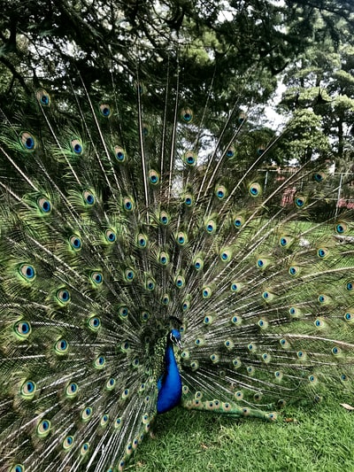 图聚科技